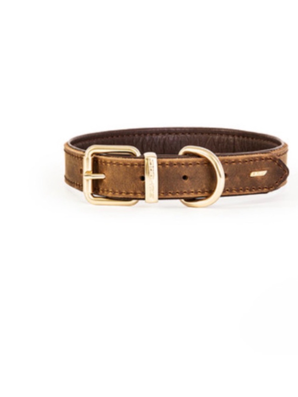 NWT Ezydog Leather Dog Collars (4 sizes avail)
